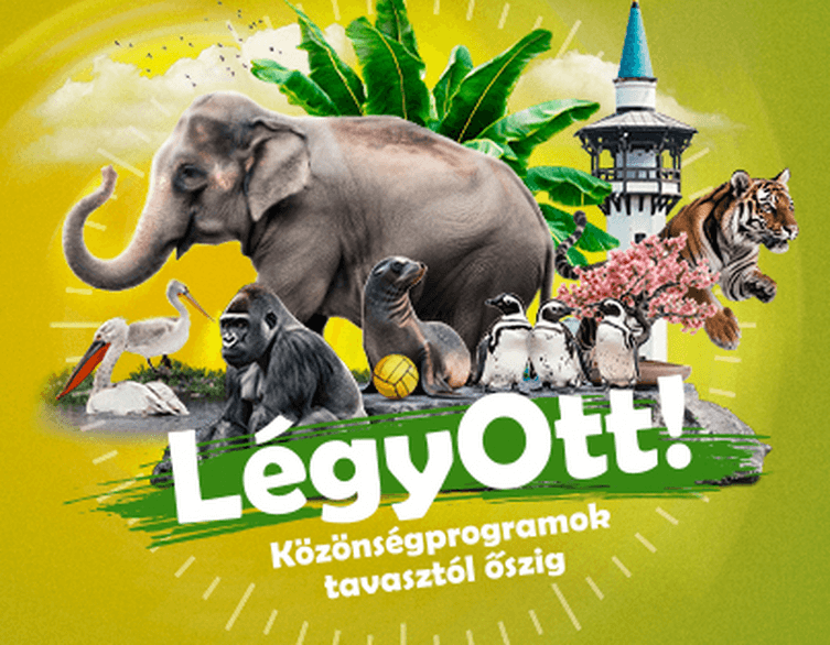 Esti séták a Fővárosi Állat- és Növénykertben 2025