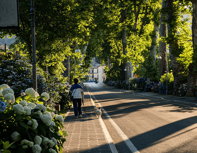 Budapest szivacsváros