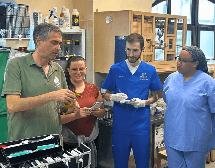 A titkos tudományos labor, ami valójában a Budapesti Állatkert