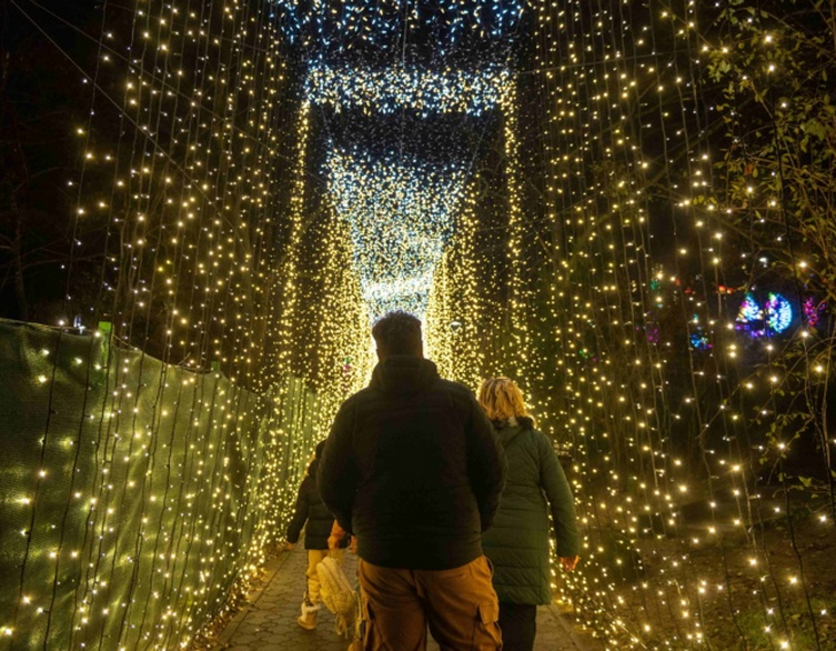 A Margitsziget eltitkolt csodája: Ez a fénypark idén télen mindent visz