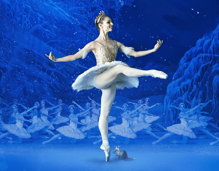 Diótörő népszerűsége Budapest