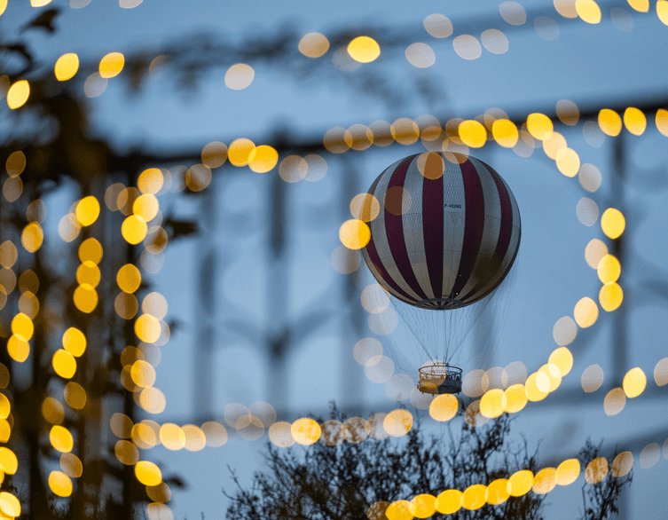 Mohai Balázs - Liget Budapest