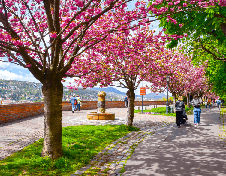 Budai Várnegyed falai mentén húzódó Tóth Árpád sétány